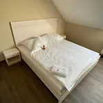 Bürgerhauslöwen 3*