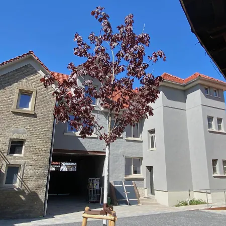 Hotel Buergerhausloewen Philippsburg