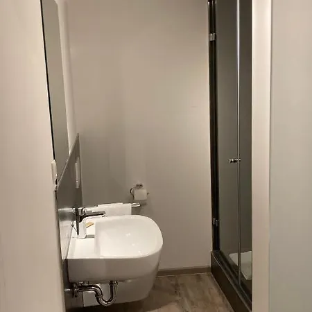 Buergerhausloewen فيليبسبورغ
