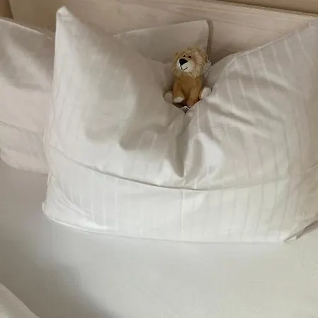 Buergerhausloewen 3*