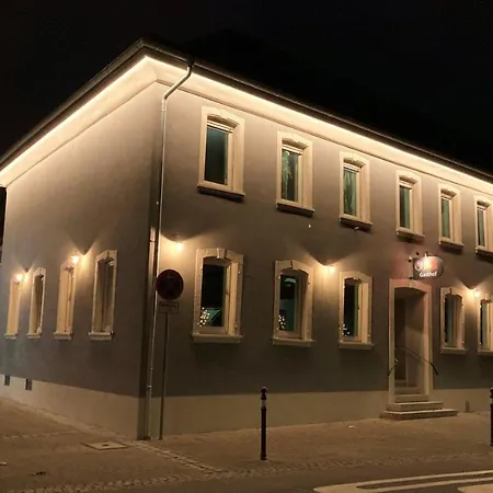 Hotel Buergerhausloewen 3*