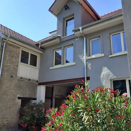 Buergerhausloewen Philippsburg