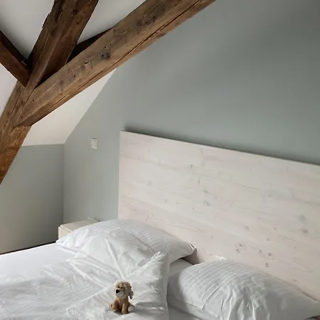 Buergerhausloewen