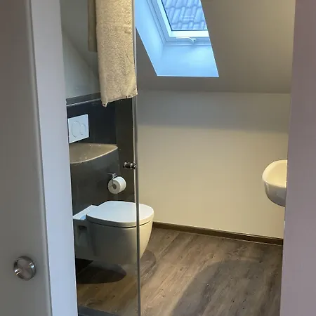 Buergerhausloewen Hotel 3*