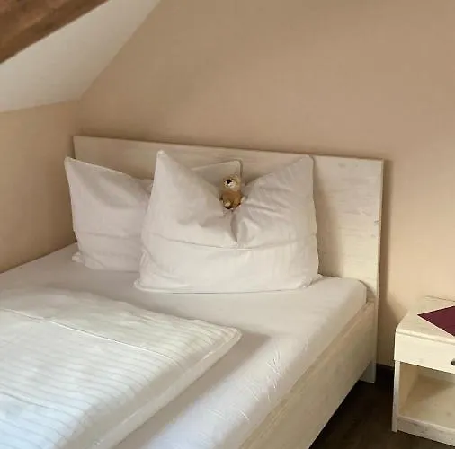 Отель Buergerhausloewen 3*