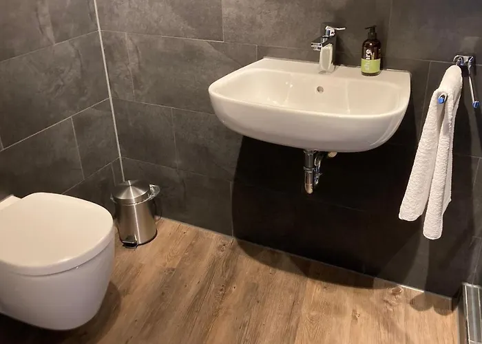 Buergerhausloewen 3* Philippsburg