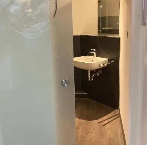 Buergerhausloewen Филипсбург