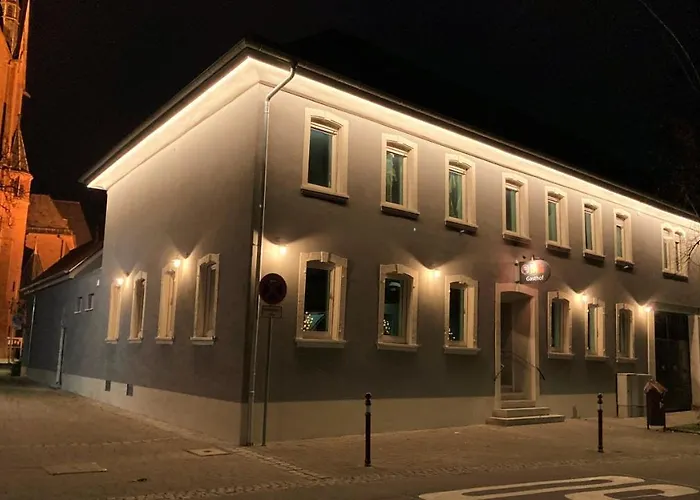 Отель Buergerhausloewen 3*