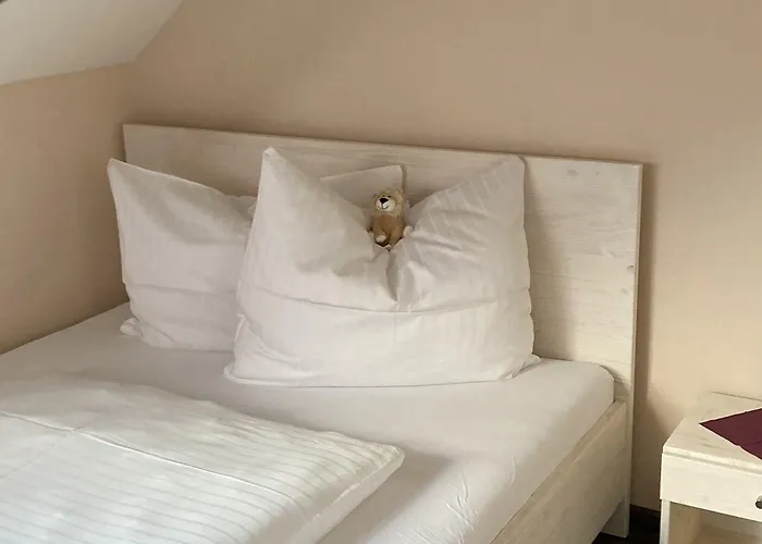 Отель Buergerhausloewen Филипсбург