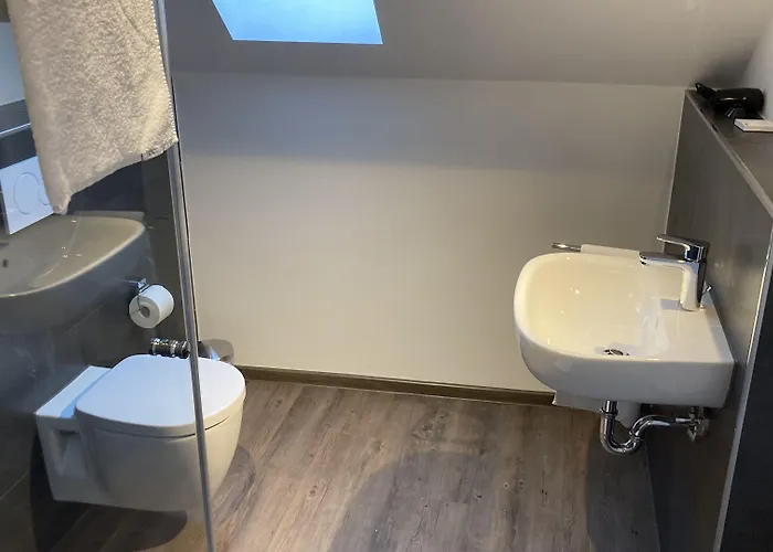 Buergerhausloewen Отель Филипсбург