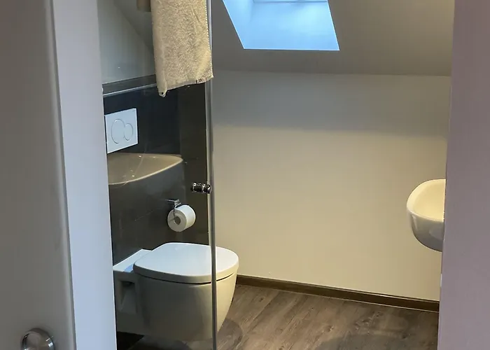 Buergerhausloewen Отель 3*